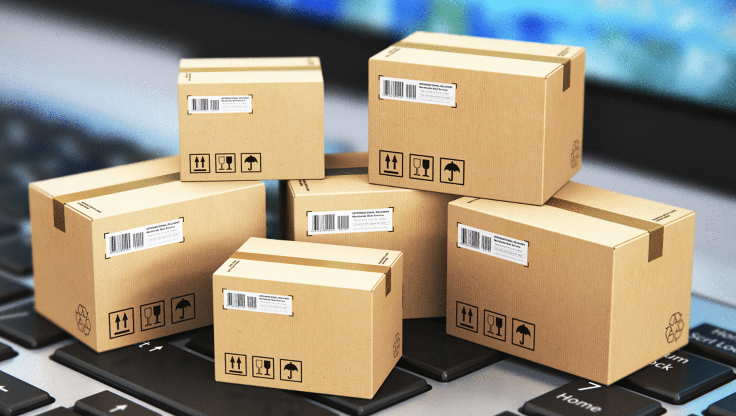 Experience Tailored Support and Enhanced Growth